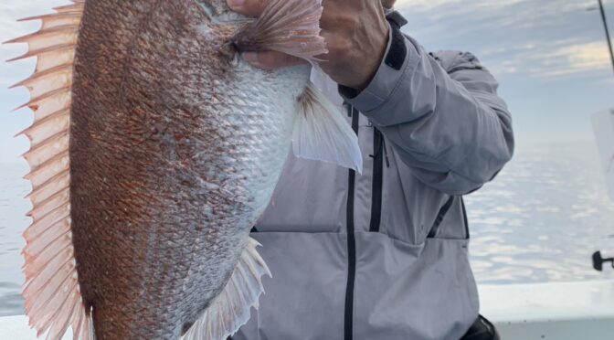 テンヤ真鯛船　中鯛3.2キロ