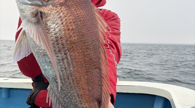 テンヤ真鯛船　大鯛4.5キロ！
