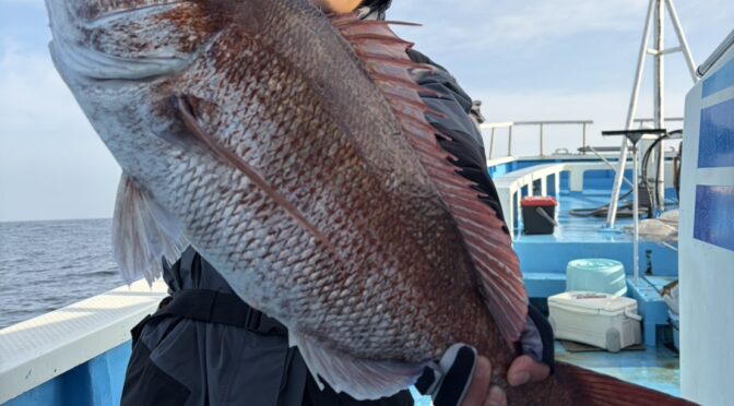 テンヤ真鯛船　中鯛3.5キロ3.3キロ！