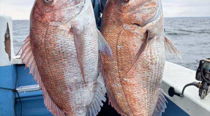 テンヤ真鯛船　中鯛3.8キロ3.5キロ！