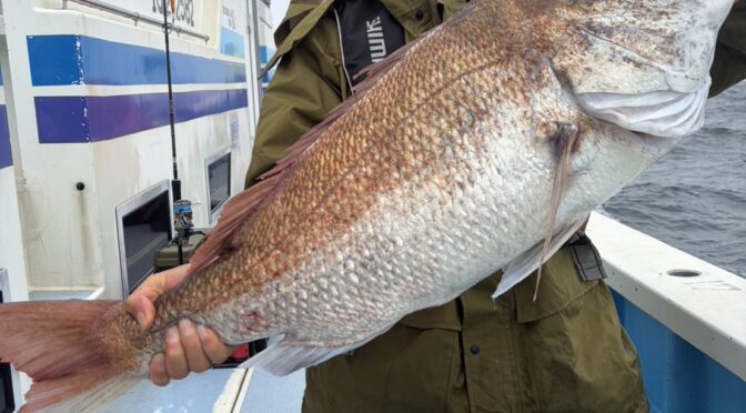 テンヤ真鯛船　特鯛7.65キロ！！